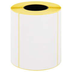 Этикетки термотрансферные, ПОЛУГЛЯНЕЦ, 100&times;72 мм, 500 этикеток в ролике