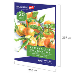 Бумага для рисования ДЭК А4 20 листов 200 г/<wbr/>м<sup>2</sup>, в папке, BRAUBERG, &laquo;Натюрморт&raquo;, 115637