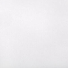 Картон белый А4 немелованный, 10 листов, в папке, ЮНЛАНДИЯ, 200&times;290 мм, &laquo;Лебедь&raquo;, 115639