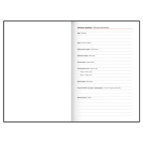 Ежедневник недатированный В6 130х185 мм BRAUBERG "Glam", под кожу, 160 л., голубой, 116220