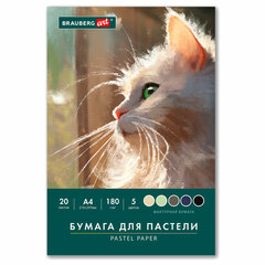 Бумага для пастели А4 в папке, 20 листов, 5 цветов, 180 г/<wbr/>м<sup>2</sup>, BRAUBERG ART CLASSIC, 116345