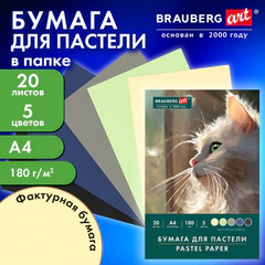 Бумага для пастели А4 в папке, 20 листов, 5 цветов, 180 г/м2, BRAUBERG ART CLASSIC, 116345