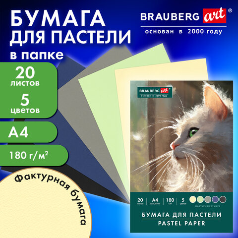 Бумага для пастели А4 в папке, 20 листов, 5 цветов, 180 г/м2, BRAUBERG ART CLASSIC, 116345