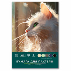 Бумага для пастели БОЛЬШАЯ А3 в папке, 20 листов, 5 цветов, 180 г/<wbr/>м<sup>2</sup>, BRAUBERG ART CLASSIC, 116346