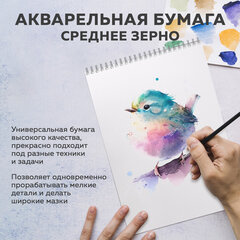 Бумага для акварели А4 в папке, 20 листов, 200 г/м2, среднее зерно, BRAUBERG ART CLASSIC, 116351