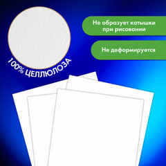 Бумага для акварели А4 в папке, 15 листов, 300 г/м2, среднее зерно, BRAUBERG ART CLASSIC, 116353