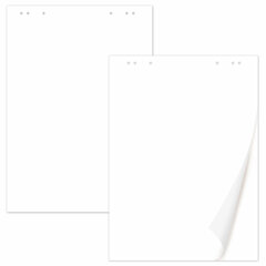 Блокнот для флипчарта 65 г/<wbr/>м<sup>2</sup>, STAFF 60&times;90 см, 20 листов, белый (ЧИСТЫЙ), 116359