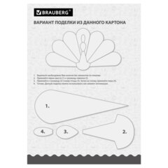 Картон белый А4 МЕЛОВАННЫЙ (белый оборот) 100 листов, в коробке, BRAUBERG, 210&times;297 мм, 116415