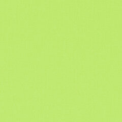 Цветная бумага ТИШЬЮ 17 г/<wbr/>м<sup>2</sup>, 50&times;66 см, 50 листов, салатовый цвет, ЗОЛОТАЯ СКАЗКА, 116490