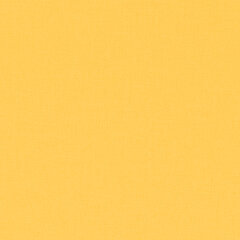 Цветная бумага ТИШЬЮ 17 г/<wbr/>м<sup>2</sup>, 50&times;66 см, 20 листов, 10 цветов, пастель ассорти, ЗОЛОТАЯ СКАЗКА, 116493