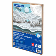 Картон белый А4 МЕЛОВАННЫЙ (белый оборот) 200 листов, в коробе, BRAUBERG, 210&times;297 мм, 116632