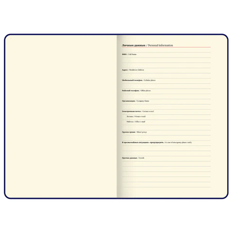 Ежедневник в подарочном наборе 5 в 1, А5, 145x212 мм, BRAUBERG "President", под кожу, 160 листов, черный, 116850 - фото 10