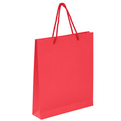 Ежедневник в подарочном наборе 5 в 1, А5, 145&times;212 мм, BRAUBERG &laquo;President&raquo;, под кожу, 160 листов, красный, 116851