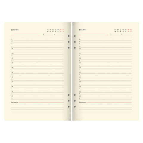 Ежедневник на кольцах в наборе с ручкой А5, 165x229 мм, BRAUBERG "Lux", под кожу, 100 листов, зеленый, 116858 - фото 10