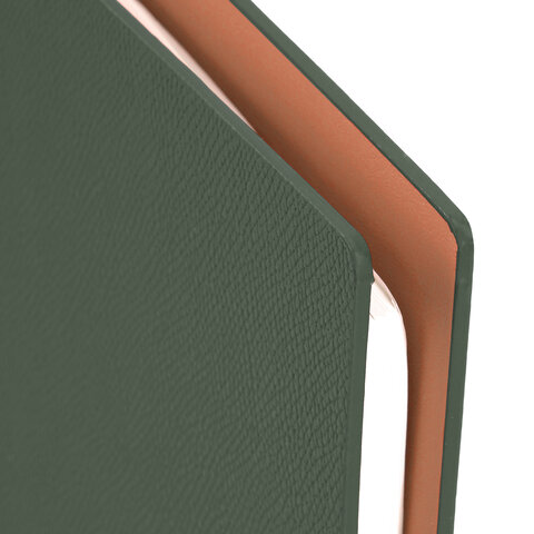 Ежедневник на кольцах в наборе с ручкой А5, 165x229 мм, BRAUBERG "Lux", под кожу, 100 листов, зеленый, 116858 - фото 6