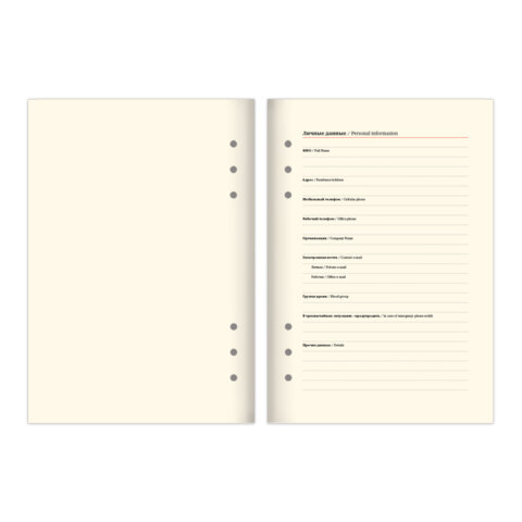 Ежедневник на кольцах в наборе с ручкой А5, 165x229 мм, BRAUBERG "Lux", под кожу, 100 листов, бежевый, 116859 - фото 8