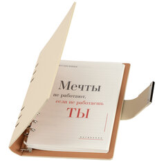 Ежедневник на кольцах в наборе с ручкой А5, 165&times;229 мм, BRAUBERG &laquo;Lux&raquo;, под кожу, 100 листов, бежевый, 116859