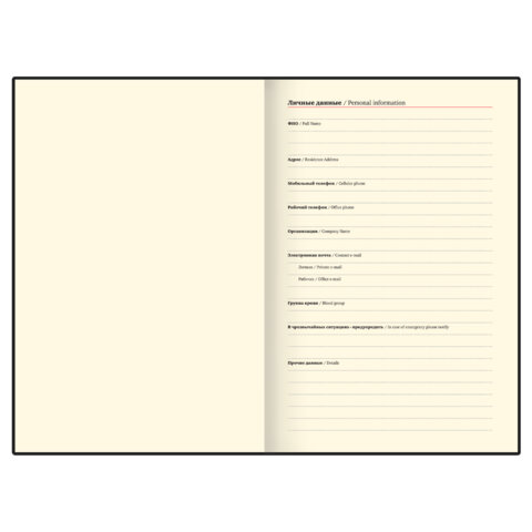 Ежедневник в наборе с ручкой А5, 144x210 мм, BRAUBERG "Style" под кожу, 160 листов, бежевый, 116861 - фото 8