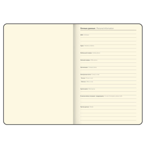 Блокнот в наборе с ручкой А5, 145х213 мм, BRAUBERG "Cork", под кожу, ЭКО обложка, 80 листов, бежевый, 116864 - фото 9