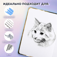 Скетчбук, белая бумага 80 г/м2, 145х203 мм, 80 л., резинка, твердый, BRAUBERG ART, "Эльфийка", 116892
