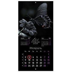 Календарь настенный перекидной 2026 г., BRAUBERG, 12 листов, 28,5&times;28,5 см, &laquo;Black esthetic&raquo;, 116927