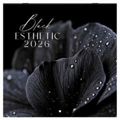 Календарь настенный перекидной 2026 г., BRAUBERG, 12 листов, 28,5&times;28,5 см, &laquo;Black esthetic&raquo;, 116927