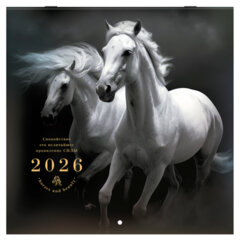 Календарь настенный перекидной 2026 г., BRAUBERG, 12 листов, 28,5&times;28,5 см, &laquo;Символ года&raquo;, 116928