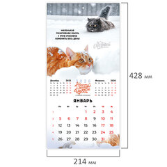 Календарь настенный перекидной 2026 г., BRAUBERG, 12 листов, 21,4&times;21,4 см, МИНИ, &laquo;Не падай духом&raquo;, 116942