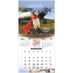 Календарь настенный перекидной 2026 г., BRAUBERG, 12 листов, 21,4&times;21,4 см, МИНИ, &laquo;Не падай духом&raquo;, 116942