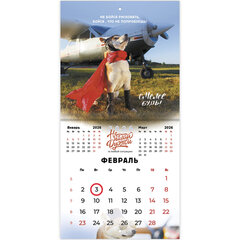 Календарь настенный перекидной 2026 г., BRAUBERG, 12 листов, 21,4&times;21,4 см, МИНИ, &laquo;Не падай духом&raquo;, 116942