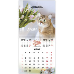 Календарь настенный перекидной 2026 г., BRAUBERG, 12 листов, 21,4&times;21,4 см, МИНИ, &laquo;Не падай духом&raquo;, 116942