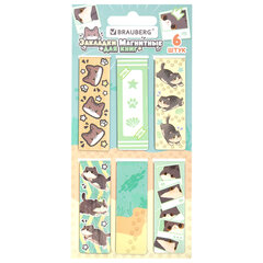 Закладки для книг МАГНИТНЫЕ, &laquo;МИЛЫЕ КОТЫ&raquo;, набор 6 штук, 60&times;20 мм, BRAUBERG, 116985