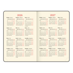 Ежедневник датированный 2026, МАЛЫЙ ФОРМАТ 100&times;150 мм, А6, BRAUBERG &laquo;Iguana&raquo;, под кожу, красный, 117251