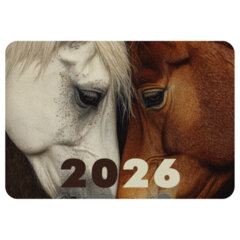 Календарь карманный на 2026 г, BRAUBERG, 64&times;93 мм, АССОРТИ №2, 20 видов, 117304