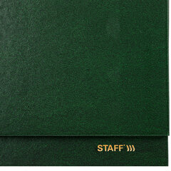 Планинг датированный 2026 300&times;130 мм, STAFF, гребень, обложка бумвинил, 64 л., зеленый, 117361