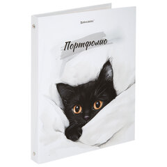 Папка-портфолио универсальная, 4 кольца, 20 файлов, 7БЦ матовая, BRAUBERG "Cat", 107557