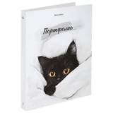 Папка-портфолио универсальная, 4 кольца, 20 файлов, 7БЦ матовая, BRAUBERG "Cat", 107557