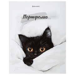 Папка-портфолио универсальная, 4 кольца, 20 файлов, 7БЦ матовая, BRAUBERG "Cat", 107557
