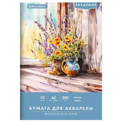 Папка для акварели БОЛЬШАЯ А2, 400&times;590 мм, 10 листов, 200 г/<wbr/>м<sup>2</sup>, BRAUBERG АКАДЕМИЯ (ДЭК), &laquo;Цветы&raquo;, 117739