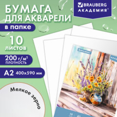Папка для акварели БОЛЬШАЯ А2, 10 л., 200 г/м2, 400х590 мм, BRAUBERG АКАДЕМИЯ, "Полевые цветы", 117739