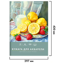 Папка для акварели БОЛЬШАЯ А3, 297&times;420 мм, 10 листов, 200 г/<wbr/>м, BRAUBERG АКАДЕМИЯ (ДЭК) &laquo;Натюрморт&raquo;, 117741