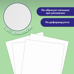 Папка для акварели БОЛЬШАЯ А3, 297х420 мм, 10 листов, 200 г/м, BRAUBERG АКАДЕМИЯ (ДЭК) "Натюрморт", 117741