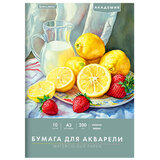 Папка для акварели БОЛЬШАЯ А3, 10 л., 200 г/м<sup>2</sup>, 297х420 мм, BRAUBERG АКАДЕМИЯ, "Летний натюрморт", 117741