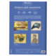 Папка для акварели А4, 10 л., 180 г/м2, 210х297 мм, BRAUBERG АКАДЕМИЯ, "Утро", 117742