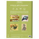 Папка для акварели А4, 10 л., 200 г/м2, 210х297 мм, BRAUBERG АКАДЕМИЯ, "Апельсины", 117743
