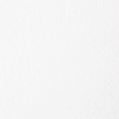 Папка для акварели БОЛЬШАЯ А3, 20 л., 200 г/<wbr/>м<sup>2</sup>, 297&times;420 мм, BRAUBERG АКАДЕМИЯ, &laquo;Львёнок&raquo;, 117745