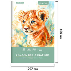 Папка для акварели БОЛЬШАЯ А3, 20 л., 200 г/<wbr/>м<sup>2</sup>, 297&times;420 мм, BRAUBERG АКАДЕМИЯ, &laquo;Львёнок&raquo;, 117745