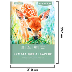 Папка для акварели А4, 210&times;297 мм, 20 листов, 200 г/<wbr/>м<sup>2</sup>, BRAUBERG АКАДЕМИЯ (ДЭК), &laquo;Оленёнок&raquo;, 117746