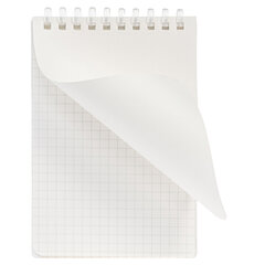 Блокнот МАЛЫЙ ФОРМАТ А6 80 л., мягкий гребень, пластик, фольга, клетка, HATBER, NATURAL LEAVES, 090242