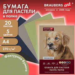 Бумага для пастели ФАКТУРНАЯ, А4, в папке, 20 листов, 5 цветов, 270 г/м2, BRAUBERG ART, 117755